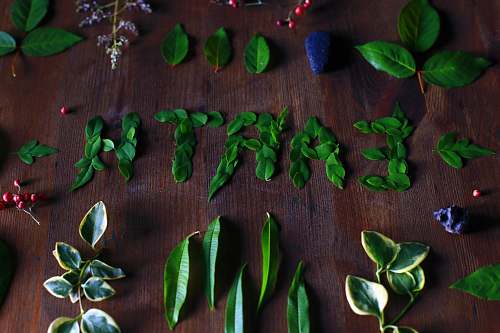 leaf leaves on table words