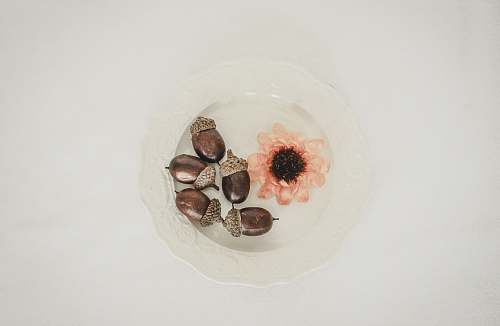 seed acorns in bowl vegetable