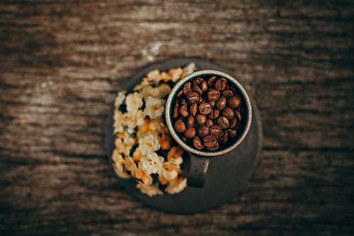 bean brown coffee beans on gray mug flora