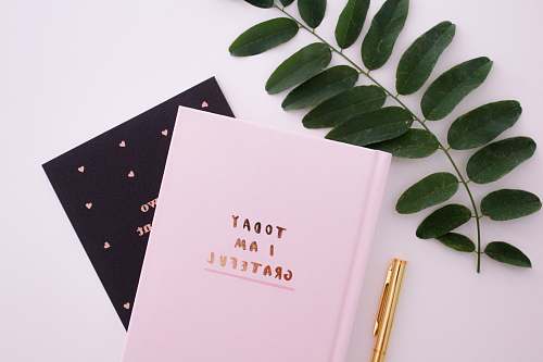 girly Today I am Grateful book diary