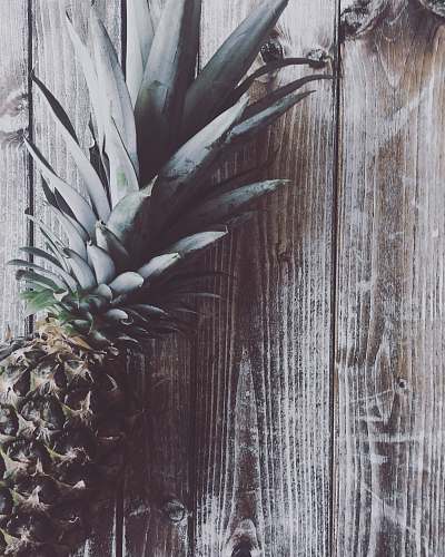 fruit  grey