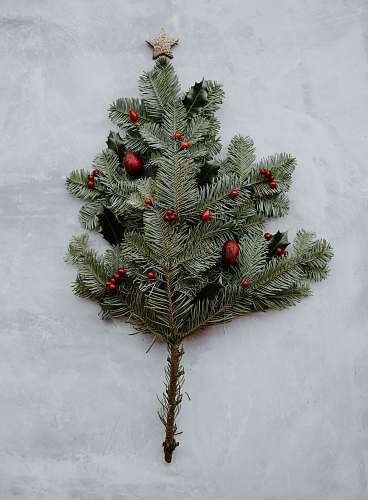 tree green pine leaves on gray surface ornament