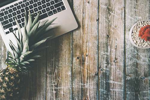 fruit green pineapple beside MacBook Pro pineapple