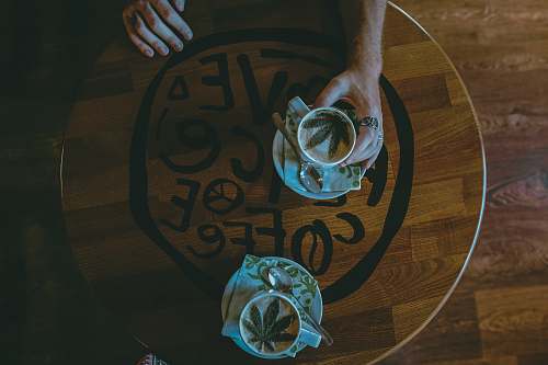 weed person holding white ceramic mug coffee break
