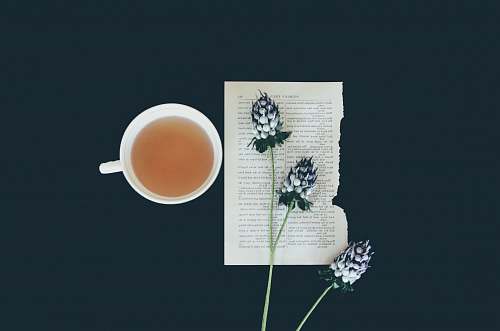 cup white ceramic tea cup beside white flowers beverage