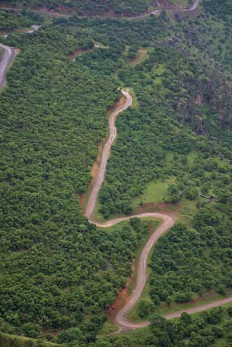 aerial photo of forest