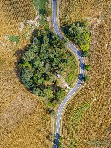 aerial photo of forest near roadway