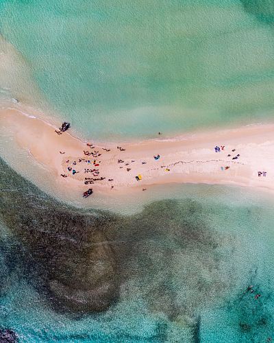 aerial photo of shore