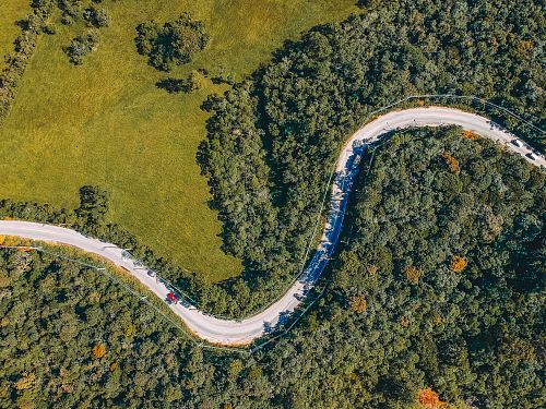 aerial photo of trees during daytime