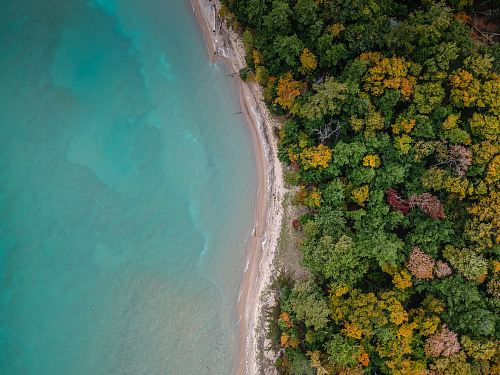 aerial photography of beach