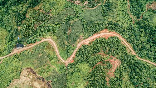 aerial photography of road