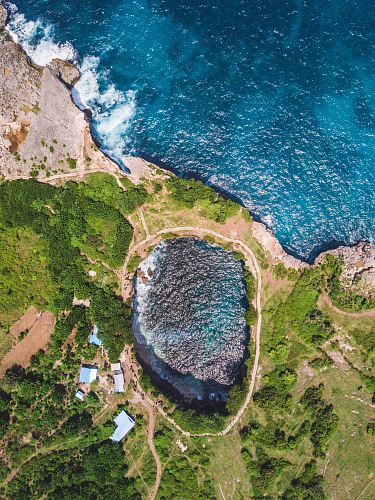aerial photography of trees near water