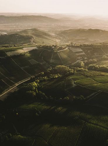 aerial view of grass field