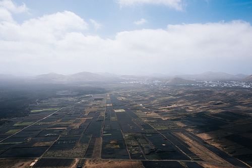 aerial view of rice field under clouded sky