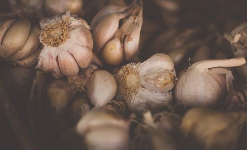 assorted garlics