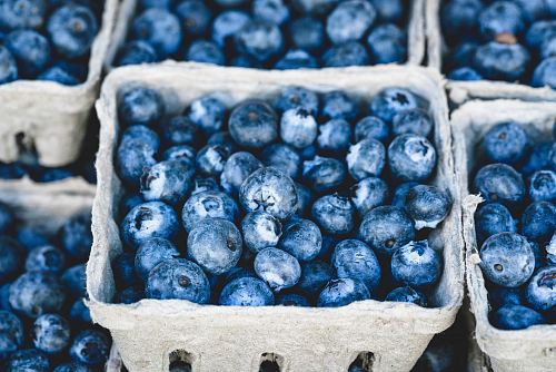 blueberries fruit