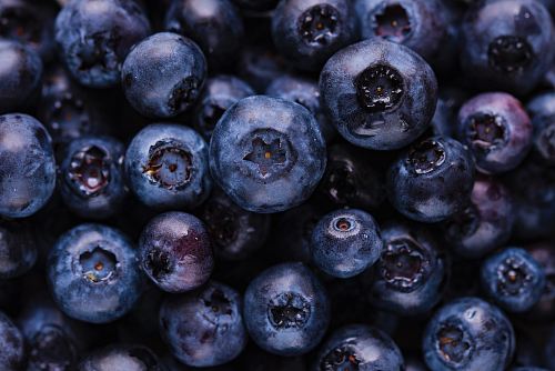 blueberry fruits