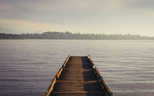 brown wooden dockside beside sea