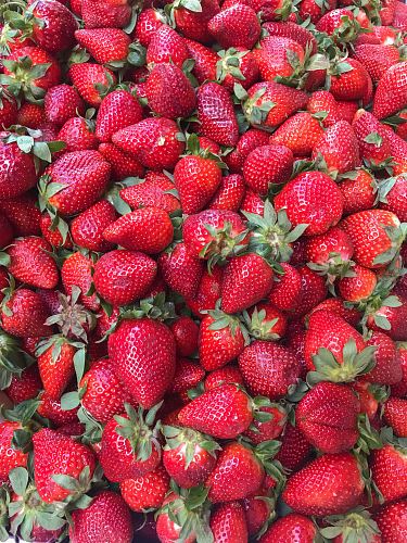 bundle of strawberries