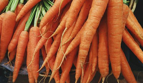 closeup photo of bunch of orange carrots