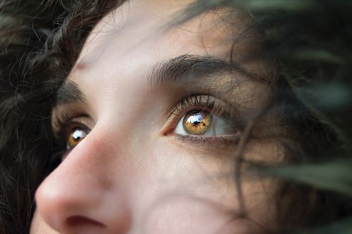 closeup photo of person
