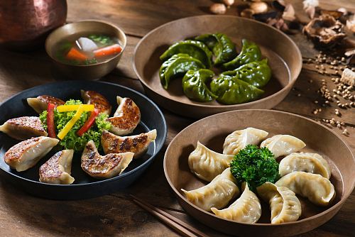dumpling dishes