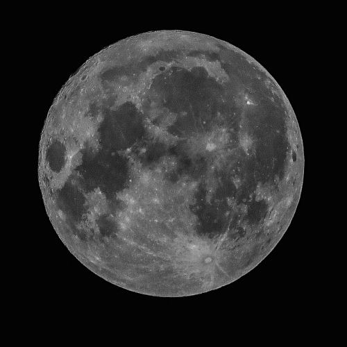 gray moon