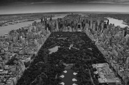 grayscale photo of Central Park, New York