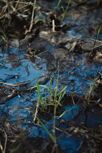 green grass on focus photography