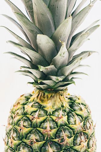 green pineapple fruit