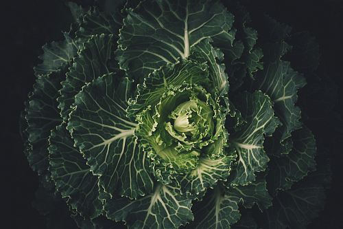 green vegetable