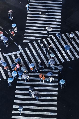 group of people crossing pedestrian lane