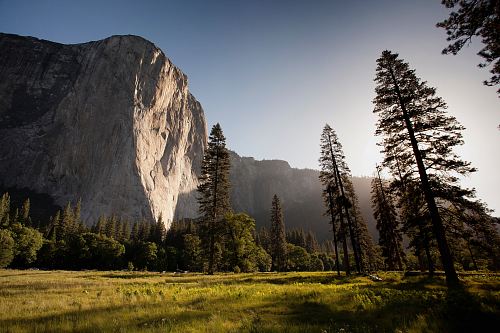 landmark photography of trees near rocky mountain under blue skies daytime