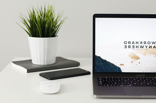 MacBook Pro near green potted plant on table