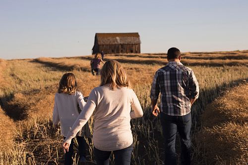 man and women walks on grasses during daytime