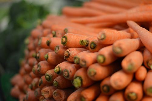 photography pile of carrot