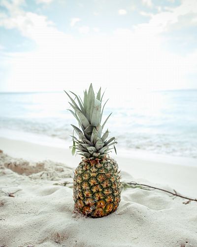 pineapple fruit on the sand