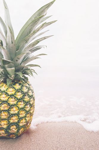 pineapple near seashore
