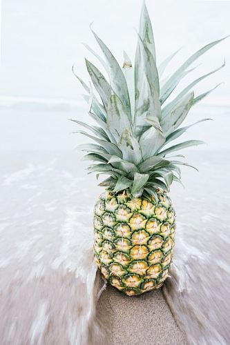 pineapple on shore