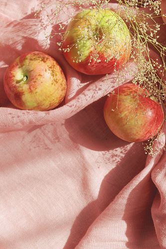 red apple fruit