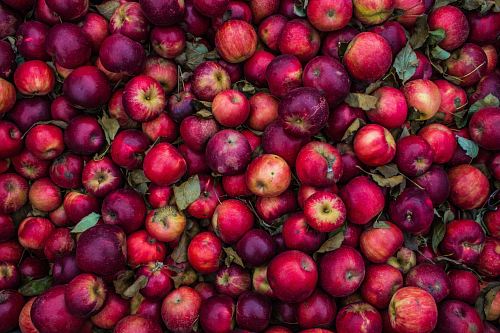 red apple lot