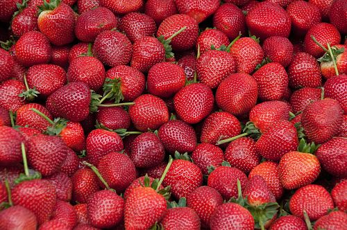 red raspberries