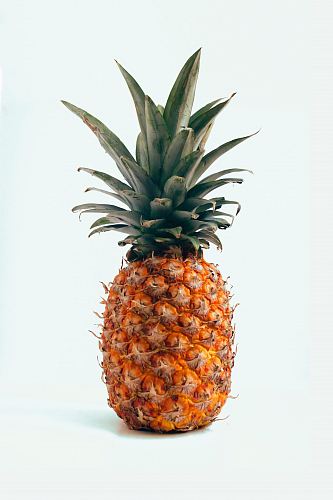 ripe pineapple fruit