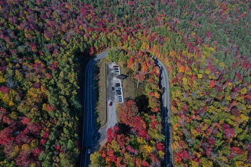 roads and parking lot in the middle of the forest during day