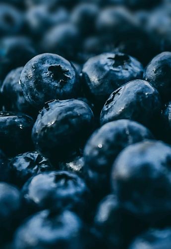 selective focus photography of blueberry