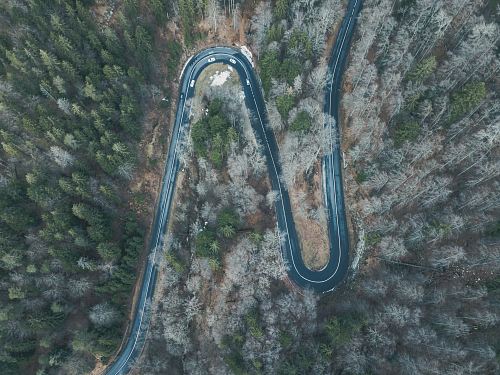 several white cars traveling on winding road across the woods