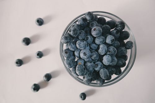 shallow focus photography of blueberries