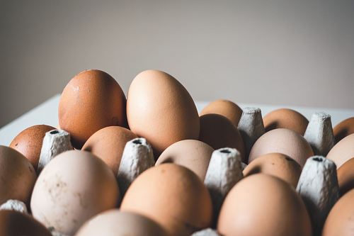 shallow focus photography of brown eggs
