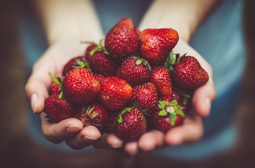 shallow focus photography of strawberries on person's palm