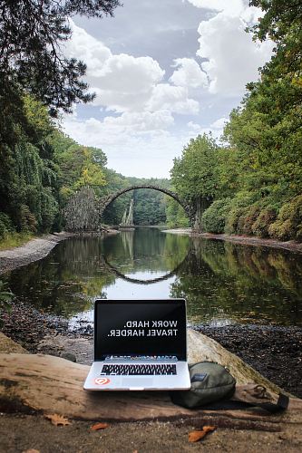 silver MacBook Pro on brown wood log